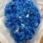 100% customs clearance big discount CAS102-97-6 N-Isopropylbenzylamine high repurchase rate