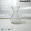 420ml Glass Flower Culture bottle For Daffodils Hyacinth Household Decoration Clear Glass Vases