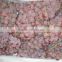Factory supply sweet red grapes for sale