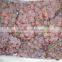 2015 new crop chinese red globe grapes with best price