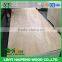 furniture grade 18mm birch commercial plywood for USA market