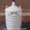 YDS-10 Portable Liquid N2 Tank