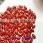 British bark red kidney beans(heilongjiang)