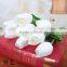 Wholesale artificial tulip, decorative plastic flowers making
