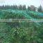 professional hdpe anti hail net,agriculture anti hail net,hail protection net made in china