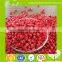 HDPE/LDPE/LLDPE Color Master batch for Making Plastic Bags