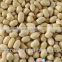 Supply Chinese Blanched Peanut Kernels Round for Sales