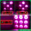 New adjustable led grow light full spectrum 1800w cob growing light for plant growth