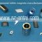 tiny magnets / magnets for sensor / neodymium magnets for sale