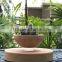 top hot levitation potted plant pots floating air bonsai