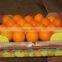 fresh Valencia Orange