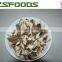 China IQF Frozen Shiitake Mushroom Slices/Cuts/Whole