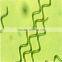 2015 Healthy Algae Spirulina for EU & USA market