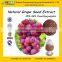 GMP factory supply 100% Natural Grape Seed Extract OPC free sample