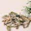 Lotus Leaf (Folium Nelumbinis, He Ye)