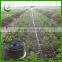 Sri Lanka farm plant agricultural plastic irrigation micro spray tape manufacturer
