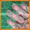 China  1" inch galvanized PVC coated decoration Hexagonal chicken wire mesh netting