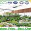 Plastic Greenhouse Agriculture