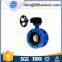 Worm Gear Double Flange Butterfly Valve D341X-16