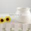 Gifts and crafts ceramic storage containers mason jars mini pot