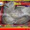 WHOLE ROUND FROZEN BLACK POMFRET