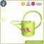 Plant galvanized colour metal garden watering can