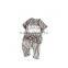 summer best-selling 100%cotton printing kids t shirt with pants set