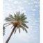 Palm Tree Tower