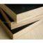 Construction Plywood