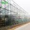 Commercial Modern Display Multi-span Glass Greenhouse For Sale