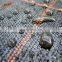 Non woven PP geo woven ground cover fabric