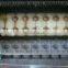 professional hawai fruit macadamia shell cutting machine