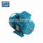 WEG brand W21 three phase Multi voltage aluminum casing motor