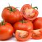 Bright red hybrid tomato seeds israel bonbon vegetable seeds