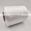 Supply Polyester 100% Thread 50D2  Sewing for Bag Closing Thread