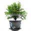 Chinese jingdezhen high quality ceramic  porcelain large plant pots