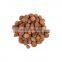 Sciyu Supply Terminalia Bellerica P.e. Terminalia Bellerica Extract Powder