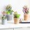 Factory Direct Sales Mini Cute Lifelike Cheap Garden Decor Faux Potted Plants And Succulents Artificial Flower Plant Home