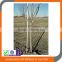 Tree stakes and nursery stakes application ABS or PVC coating Fiberglass poles