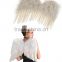Touch of Nature swan wings feather for decoration
