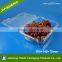 Bento Box Clear Plastic Disposable Pet Fruit Container
