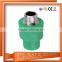 Professional Manufacture PPR Plastic Water Fitting