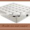 Wholesale king size no box individual coil spring top rated mattresses