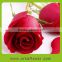 1-1 Fresh cut processing type rose flowers