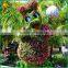 artificial cartoon topiary animals for home garden decoration