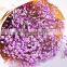 Hobby Lobby Wholesale Flowers Gypsophila Plant For Wedding Babysbreath For Sale