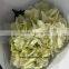 Cheap And Good High Quality Fresh Hydrangea From Kunming