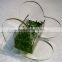 Custom Eco-friendly Acrylic Fish Aquaria
