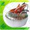 step up 12v to 240v toroidal single phase transformer