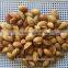 Roasted salted Apricot Kernels without shell for hot sale